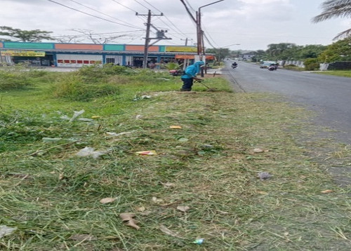 Bobotsari Serayularangan (Rumput).jpg