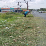 Bobotsari Serayularangan (Rumput)