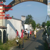 Kalimanah Wetan Kedungwuluh (Rumput)