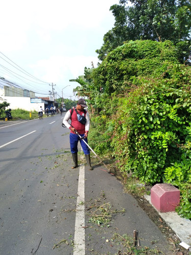 Cahyana Baru (Rumput).jpg