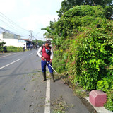 Cahyana Baru (Rumput)
