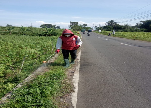 Karanganyar Karangmoncol (Rumput).jpg