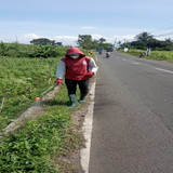 Karanganyar Karangmoncol (Rumput)