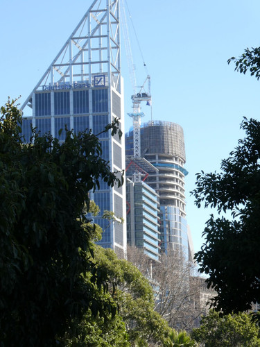 P1000364.jpg