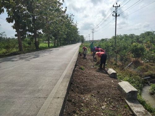 Kembangan Panican (Rumput).jpg