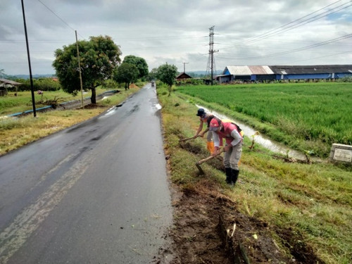 Pagerjirak Karanggedang (Rumput).jpg