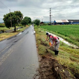 Pagerjirak Karanggedang (Rumput)