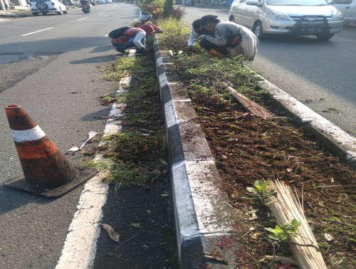 Kolonel Sugiri (Rumput).jpg