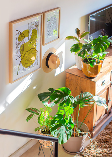 flowerroom.jpg