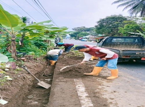 Selaganggeng Serayularangan (Rumput).jpg