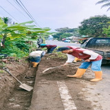 Selaganggeng Serayularangan (Rumput)