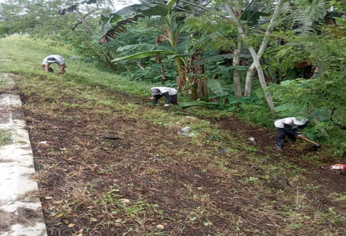 Pekiringan Rembang (Rumput).jpg