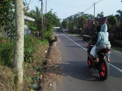 Puspawresti (Rumput).jpg