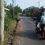 Puspawresti (Rumput)