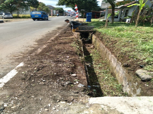 Sersan Sumaryo (Rumput).jpg