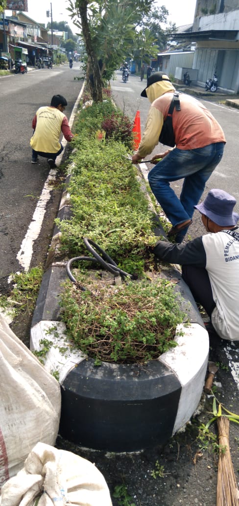 Yosomiharjo (Rumput).jpg