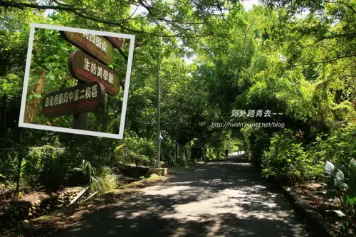 20170711 1 005 1.webp