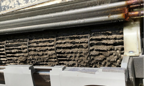 shutterstock 409300858 1.jpg