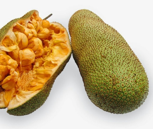 IMG 20230612 154511.jpg