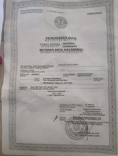 scaled d8890425 8c99 49a6 8f57 eb05a9705c934004520956037576819.jpg