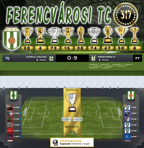 Szuperkupa Dönto 133.Szezon (317.Kupa).jpg