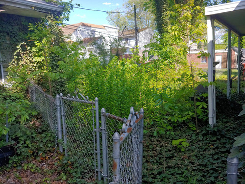 IMG 20230617 132247.jpg