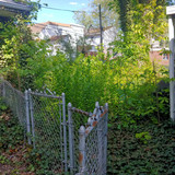 IMG 20230617 132247