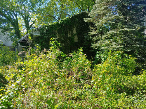 IMG 20230617 132353.jpg
