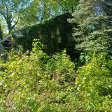 IMG 20230617 132353
