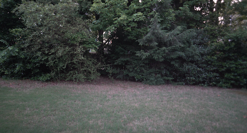 FRIDAPIC2LOWRES.png