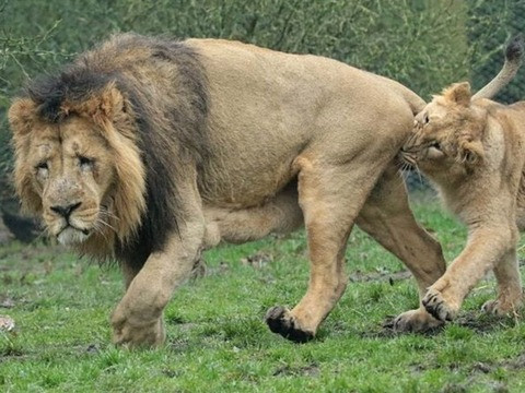 i.imgur.com bvpTbXF.jpg