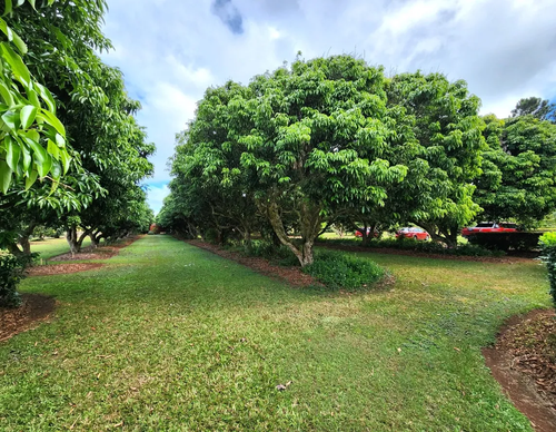 99d0013626e0.png