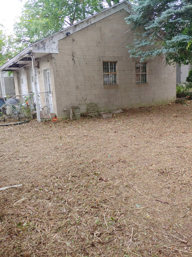 IMG 20230617 161912.jpg