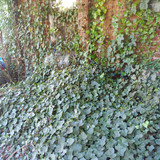 IMG 20230617 163629