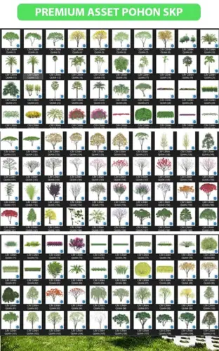 PREMIUM ASSET POHON SKP.webp