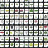 PREMIUM ASSET POHON SKP