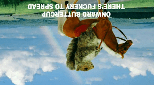 514f2ba9303e.png