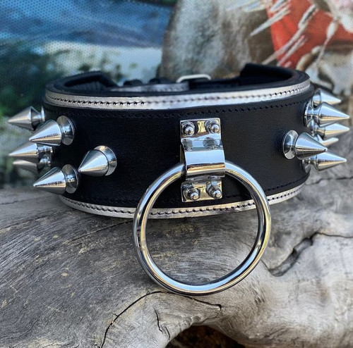 halsband.jpg