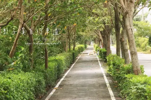 20131103 0792 1.webp