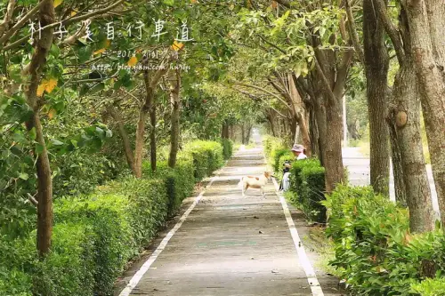 20131103 0792 2.webp