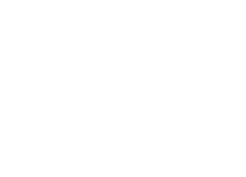 logo1 transparent.png