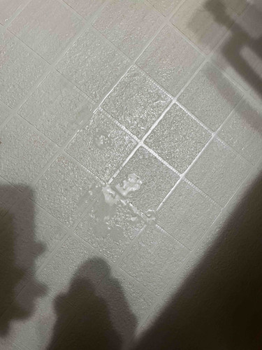 IMG 3029.jpg
