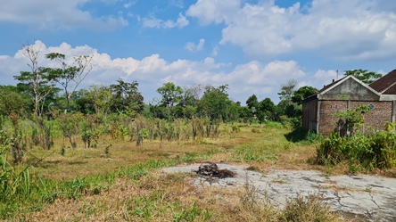 470, 900m, 1jtpermeter.jpg