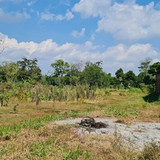 470, 900m, 1jtpermeter