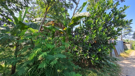 464, 300rb permeter.jpg