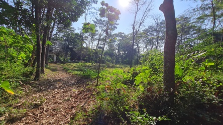 455, 1000m, pak bayan tukiman, 200rb permeter 082161183563, ngargosari.jpg