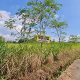 471,1647m, 1jt permeter, SHM, aryo, 24m frontage