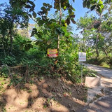 459, 2116m, pak mukhibin, 085647537090, 350rb permeter, SHM, penggung, cepogo