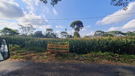 472, lt 2295, 082225298363.jpg