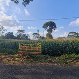 472, lt 2295, 082225298363